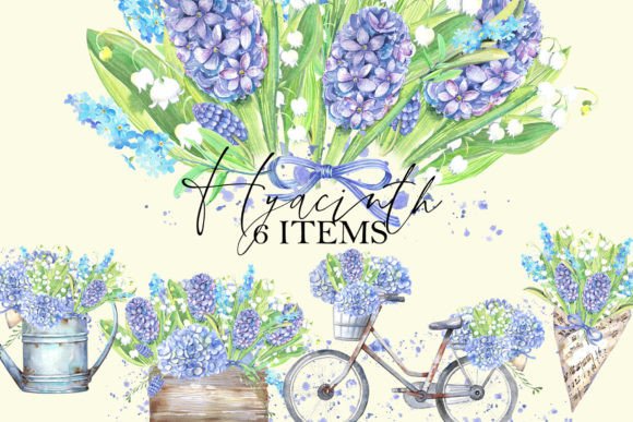 Download Hydrangea, Hyacinth - Hyacinth Collection