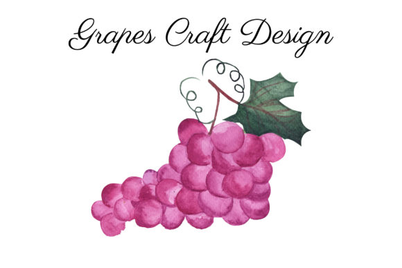 Download Watercolor Grapes, Hand Painted Art - Premium Bundle