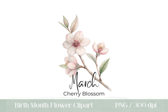 Download Cherry Blossom Birth Flower Clipart - Birth flower clipart Collection