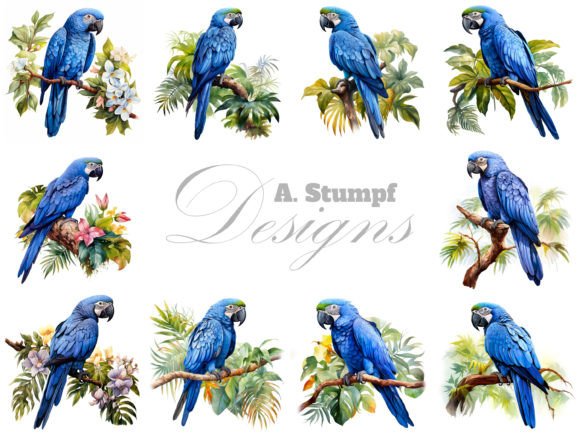 Download Hyacinth Macaw Parrot Watercolor Clipart - Hyacinth Collection