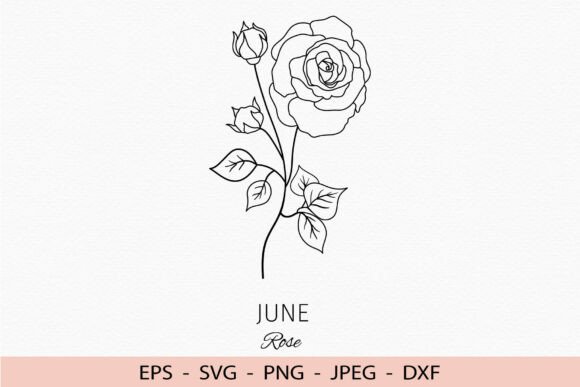 Download Rose Birth Flower June Svg Cricut Dxf - Rose birth flower Collection