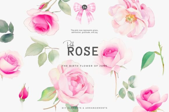 Download Watercolor Pink Rose Birth Flower Set - Rose birth flower Collection