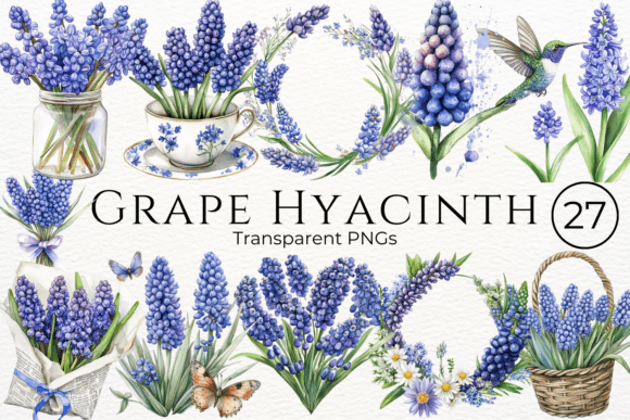 Download Grape Hyacinth Watercolor Cliparts - Hyacinth Collection