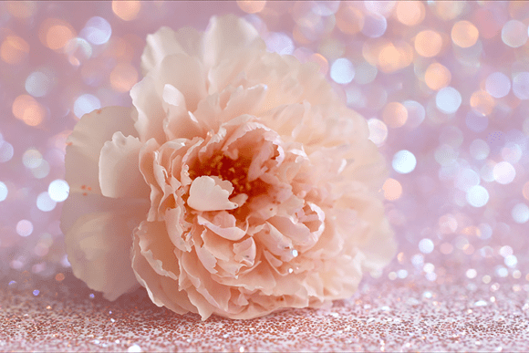 Download Blush Flower Glitter Background - Glitter Collection