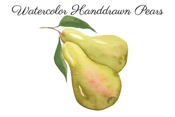 Download Watercolor Pears, Hand Painted Art - Premium Bundle
